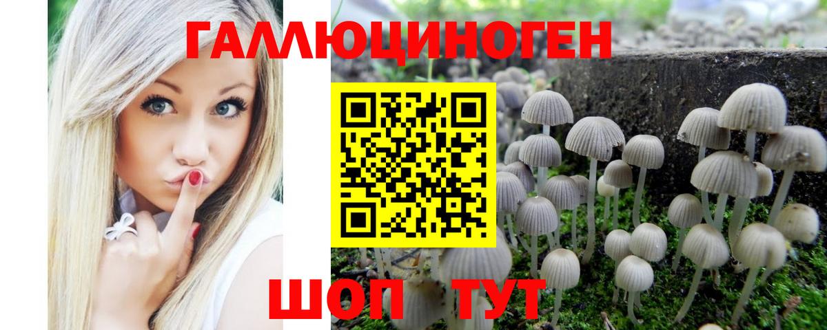 Якутск  Галлюциногенные грибы Psilocybine cubensis  где продают   Галлюциногенные грибы Psilocybe  Вход с VPN 