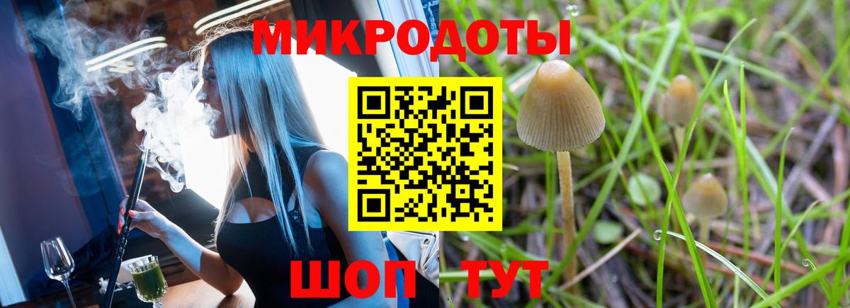 Галлюциногенные грибы Cubensis Якутск
